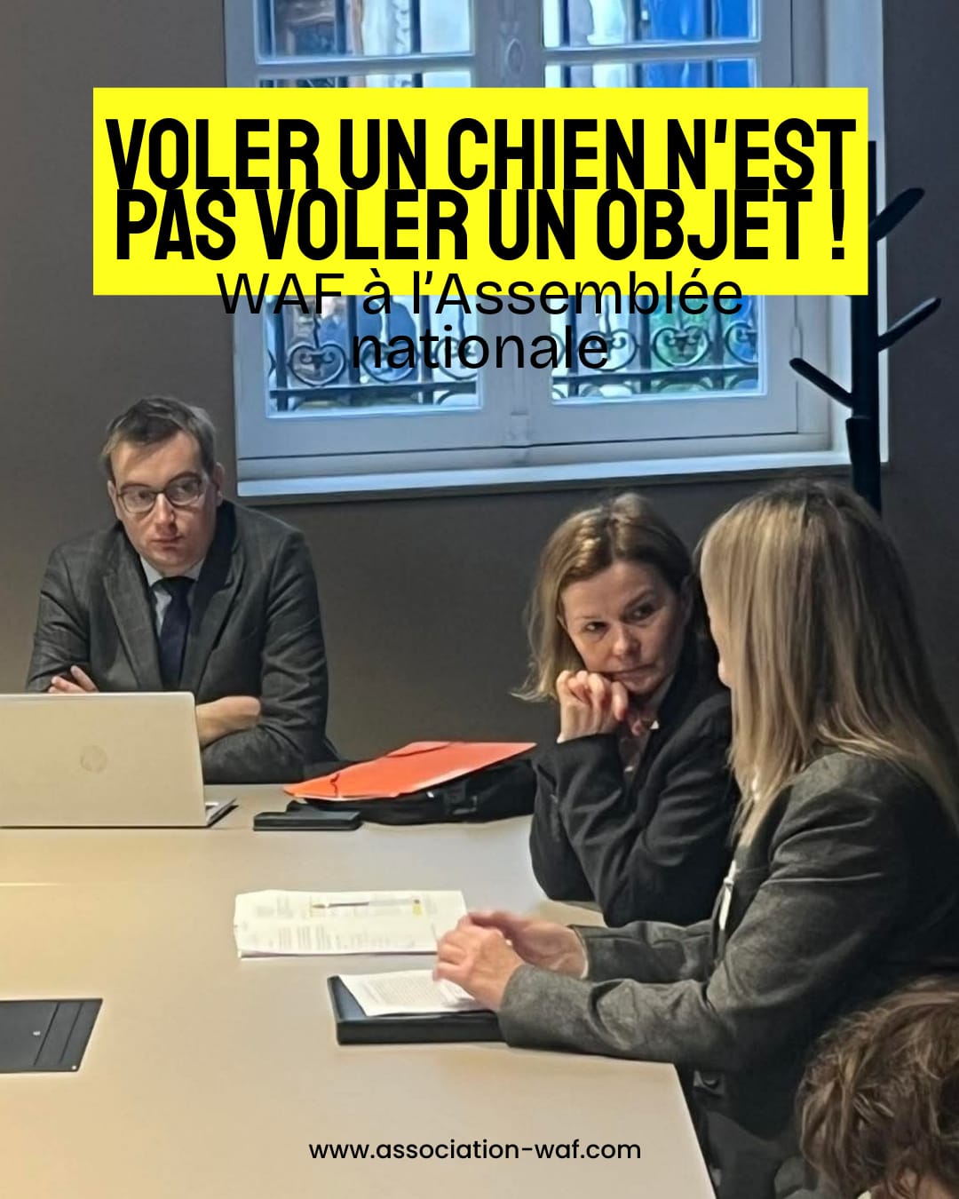 waf assemblée nationale